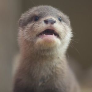 Meet your Posher, Valeria